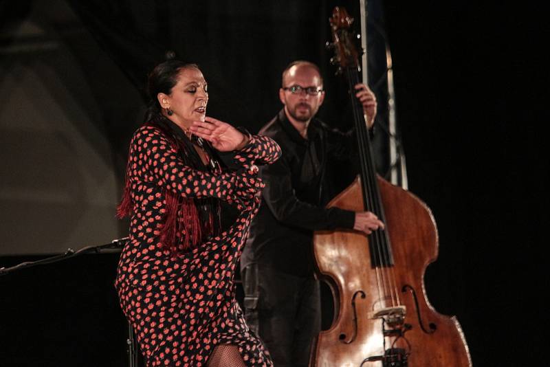 Pětadvacátý ročník Mezinárodního kytarového festivalu zahájila v neděli večer Noc flamenca na nádvoří hradu Špilberk.