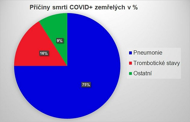 Příčiny úmrtí Covid zemřelých.