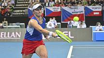 Další velkou akcí pro ní byl začátkem listopadu finálový turnaj Poháru Billie Jean Kingové, který navazuje na Fed Cup a uskutečnil se v pražské O2 areně. Krejčíková měla táhnout českou reprezentaci, ale oba své zápasy prohrála a Češky vypadly ve skupině. 