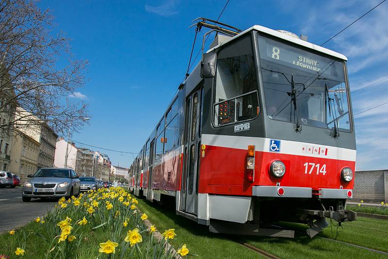 Tramvaj v ulici Nové sady.