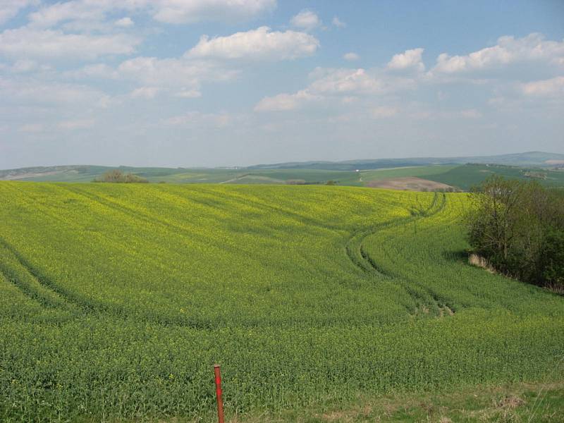 Nenápadný vrch Člupy ukrýval pozůstatky hradiště z doby kamenné. V současnosti je přírodní rezervací a evropsky významnou lokalitou.