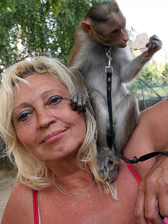Majitelka se svojí samičkou makaka.