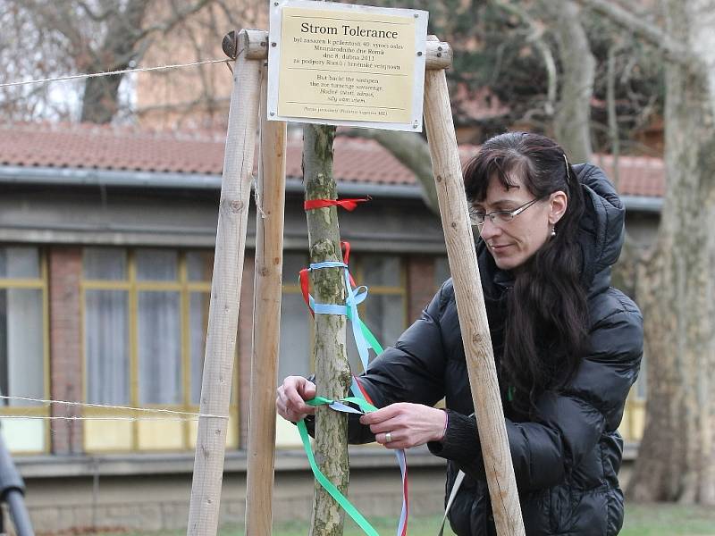 Romové v neděli oslavili svůj mezinárodní den v lužáneckém parku. Vázali stužky na strom tolerance, který tam zasadili před rokem. 