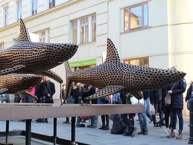 Sousoší žraloků na Šilingrově náměstí, které navazuje na předchozí dvě sousoší dravců a šelem.