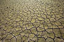 Zemědělce i krajinu stále trápí sucho. Ilustrační foto.