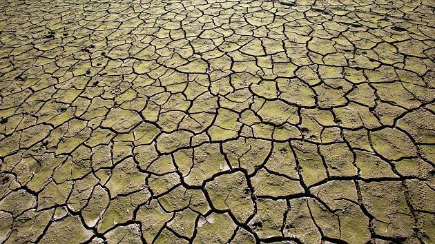 Zemědělce i krajinu stále trápí sucho. Ilustrační foto.