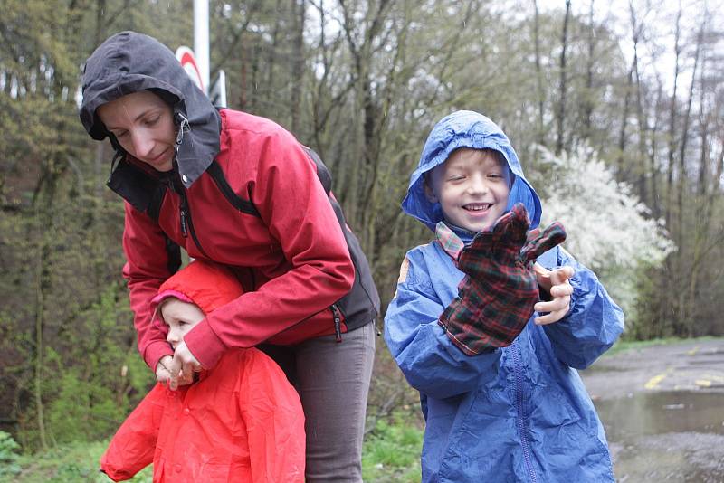 Dobrovolníci čistili břehy v přibližně dvouapůlkilome­trovém úseku v Mariánském údolí.