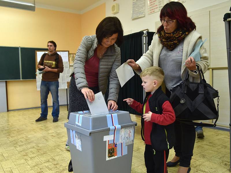 Parlamentní volby 2017 na základní škole v Holzově ulici v Brně-Líšni.