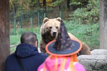 Návštěvníci si užili Halloween v brněnské zoologické zahradě.