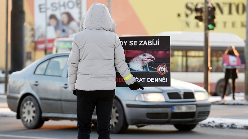 Protest aktivistů skupiny Brno Chicken Save v Modřicích proti zabíjení zvířat.