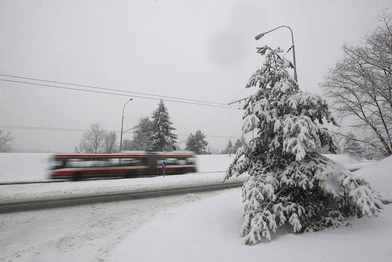 Sníh v brněnských ulicích
