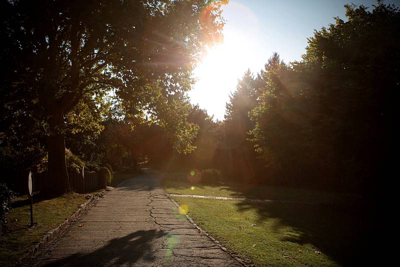 Výstava Barvy podzimu v Botanické zahradě a arboretu brněnské Mendelovy univerzity.