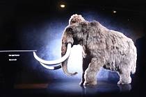 Archeopark v Pavlově na Břeclavsku přivítal na konci května první návštěvníky. Unikátní expozice lidi zavede za pomoci moderních technologií do éry lovců mamutů.
