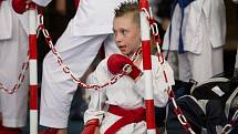 Olympiáda dětí a mládeže v hale Tesla - karate.