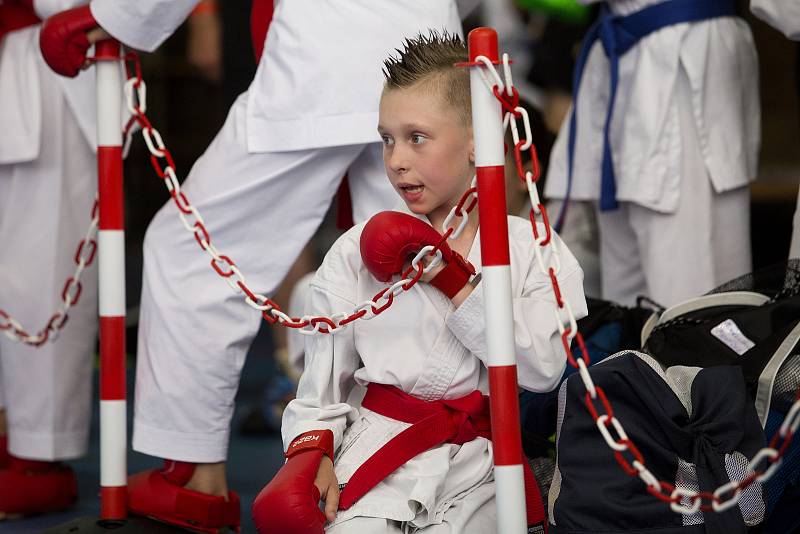 Olympiáda dětí a mládeže v hale Tesla - karate.