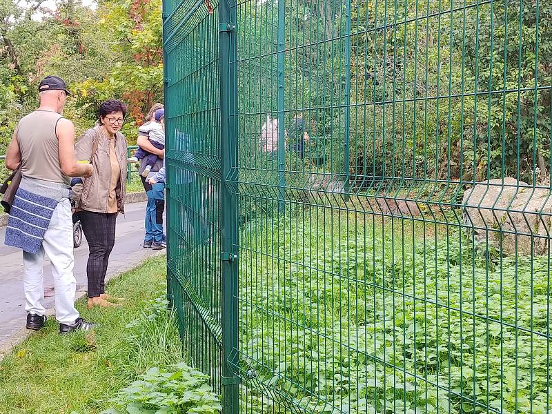 V brněnské zoo lidé oslavili Světový den zvířat.