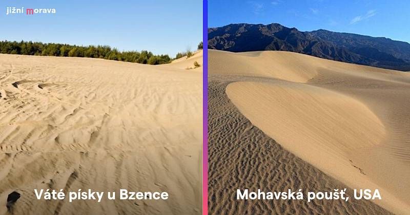Váté písky u Bzence na Hodonínsku a Mohavská poušť v americké Kalifornii.