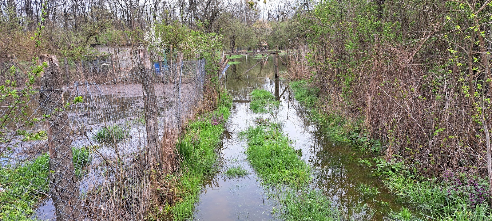 VIDEO: Velká voda zaplavila zahrady v Ivani, na pozemky se místní  nedostanou - Břeclavský deník