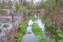 Zahrady v Ivani na Brněnsku zaplavila voda z řeky Jihlavy i náhonu rybníka Vrkoč