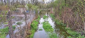 Zahrady v Ivani na Brněnsku zaplavila voda z řeky Jihlavy i náhonu rybníka Vrkoč