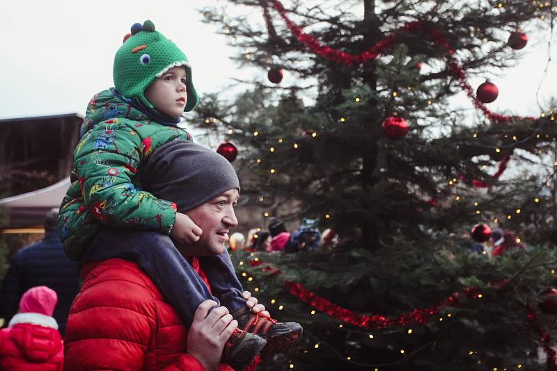 V neděli rozsvítili vánoční strom v brněnské zoo. Hrály tam i děti na flétnu.