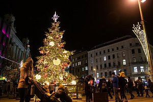Tipy na víkend v Brně a okolí. Rozsvítí se stromy, na výstaviště dorazí Sokol