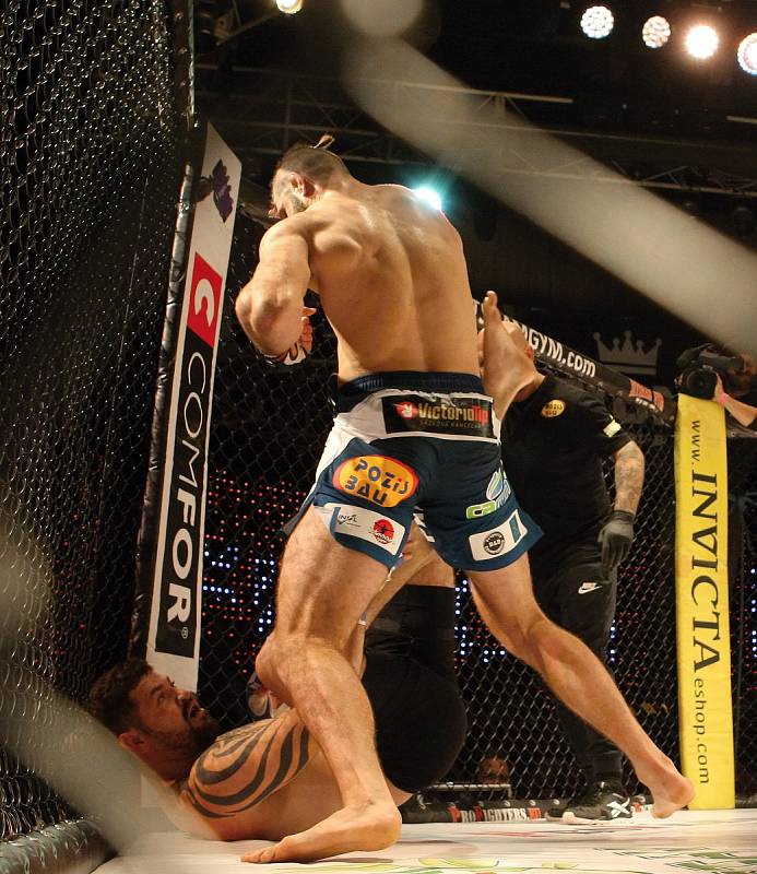 Momentálně nejlepší český zápasník MMA Jiří Procházka při souboji v kleci