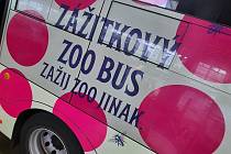 V Brně bude od července jezdit speciální autobus do zoo.