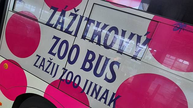 V Brně bude od července jezdit speciální autobus do zoo.