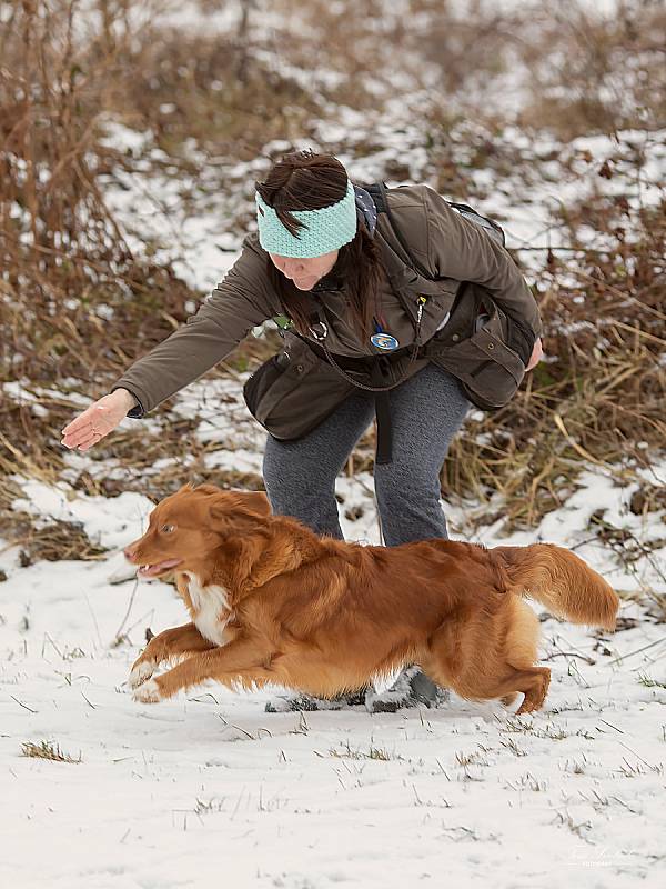 Odměnou pro trenérku, psy a jejich pány za celoroční práci loveckých psů  byla relaxační "damíková" soutěž, která se uskutečnila v mrazivém počasí.