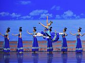 Do Janáčkova divadla se soubor Shen Yun vrací počtvrté: s novým programem a živým orchestrem. 