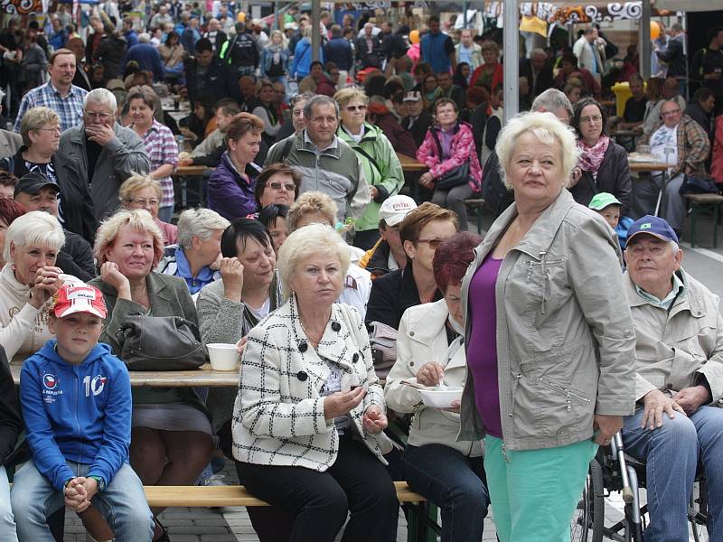  Náměstí míru v Židlochovicích na Brněnsku v sobotu zaplnily stovky lidí, kteří si nechtěli nechat ujít tradiční festival Meruňkobraní. 