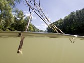 Tok Dunaje sledoval Müller-Pohle v letech 2005 a 2006. Postupoval od západu k východu, od pramene v Německu až do delty řeky v Rumunsku. Cyklus fotografií The Danube River Project patří k jeho nejznámějším z posledních let.