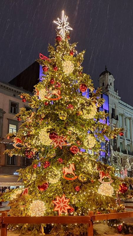 Osvětlená tramvaj, betlém i vánoční výzdoba přinesly do ulic Brna adventní atmosféru.