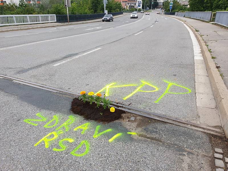 Hnutí Královopolští patrioti upozornili na díru v brněnské Křižíkově ulici svérázným způsobem. Nasadili do ní květiny.