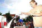 Skunk nepatří mezi oblíbená zvířata. Přesto si ho na Moravské náměstí v Brně přišly pohladit tři desítky dětí i dospělých. 