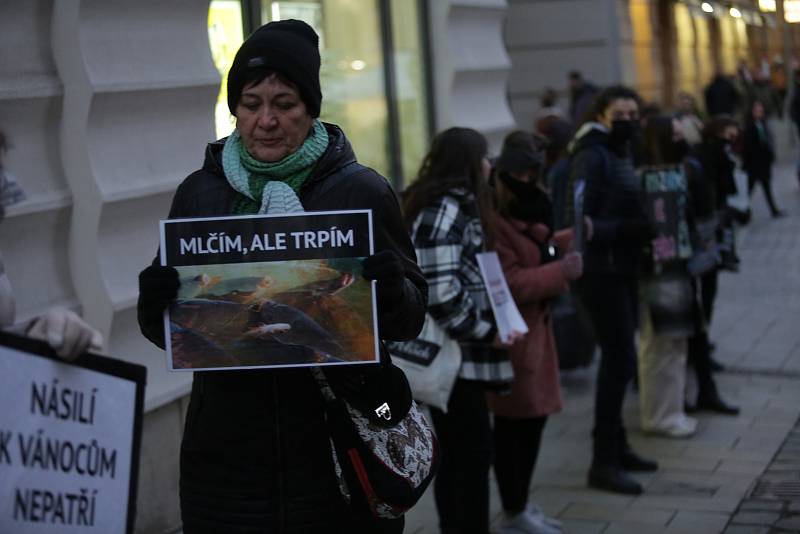 Spolek Zvířata nejíme pořádá tradiční předvánoční protest proti pouličnímu prodeji kaprů. Ten je spojen s jejich zabíjením přímo na stáncích, což se aktivistům nelíbí.