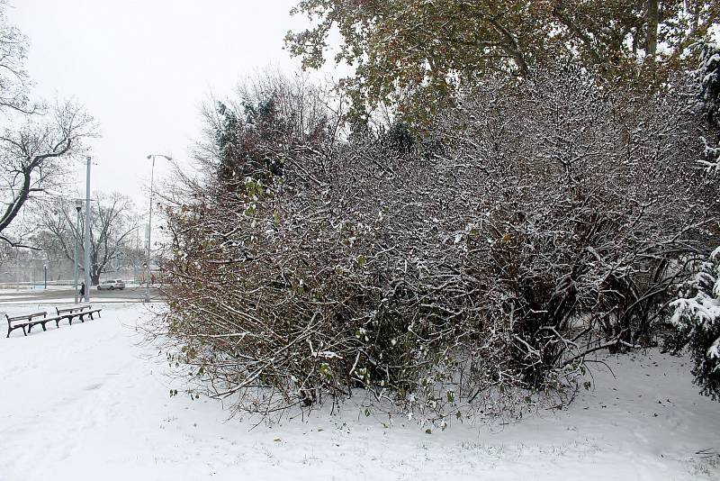 Moravské náměstí v Brně ve čtvrtek zasypal sníh.