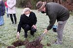 Vánoční strom od soboty stojí na brněnském náměstí Svobody. Šestnáctimetrovou jedli přivezli koňským povozem z Bílovic nad Svitavou.