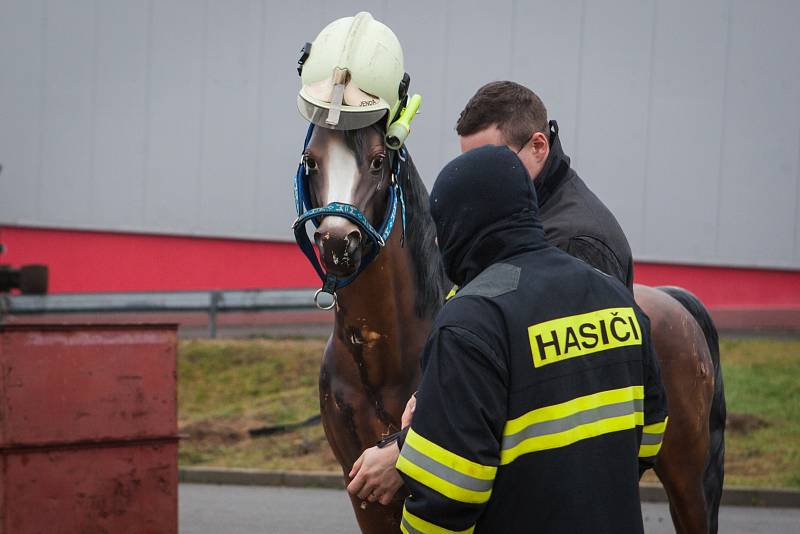 Jak vytáhnout koně z propasti a nezranit jej se v úterý učili hasiči Jihomoravského a Libereckého kraje v brněnském Školním a výcvikovém centru. Obě jednotky totiž dostaly novou výbavu, záchrannou síť.