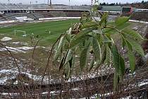 Zchátralý stadion za Lužánkami