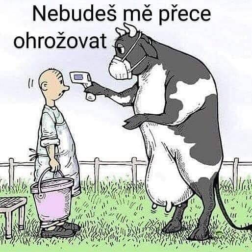 Těmito vtípky na koronavirus se lidé bavili v květnu na sociálních sítích. Poslední týdny zpestřila i ministryně financí Alena Schillerová a její (ne)angličtina.