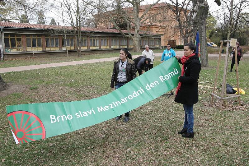Romové v neděli oslavili svůj mezinárodní den v lužáneckém parku. Vázali stužky na strom tolerance, který tam zasadili před rokem. 