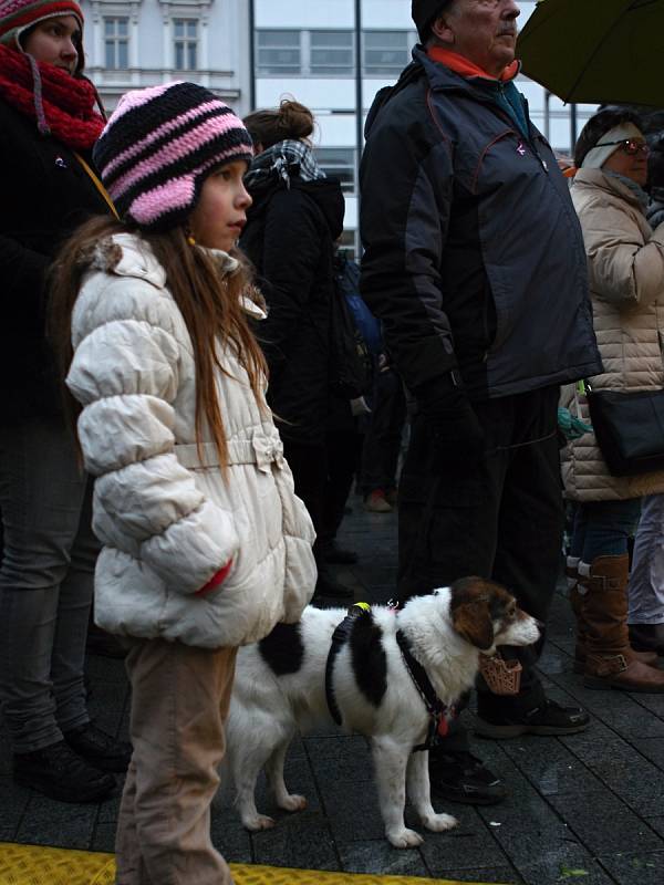 Zhruba dvě stě lidí přišlo na vzpomínkovou akci k 17. listopadu na brněnské náměstí Svobody.