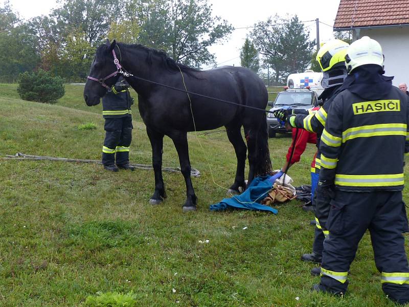 Hasiči a veterináři zachraňovali koně, který se v Lelekovicích na Brněnsku propadl do technologické šachty bazénu. 