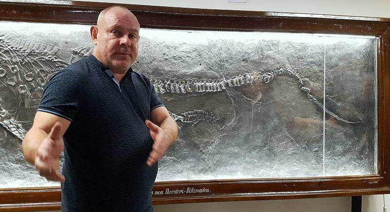 Restaurované fosílie paleontologické sbírky brněnské Masarykovy univerzity.