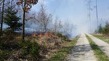 Požár lesa v Oslavanech. Zaslal čtenář.