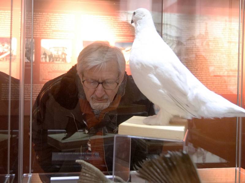 Exponáty, kterými se pyšní Moravské zemské muzeum v Brně, sbírali odborníci v pralesech i za polárním druhem. V následujícím měsíci se v souvislosti s dvoustým výročím návštěvníkům muzea představí právě zoologické oddělení.