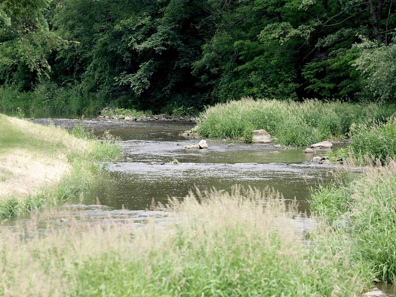 Řeka Oslava, na které může vyrůst přehrada Čučice.