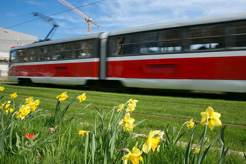 Tramvaj v ulici Nové sady.